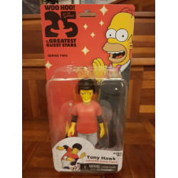 Neca Simpsons Tony Hawk 
