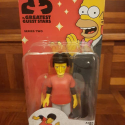 Neca Simpsons Tony Hawk 