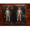 Hasbro - Star Wars Clone Trooper Sergeant
