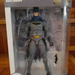DC - Batman Essentials 